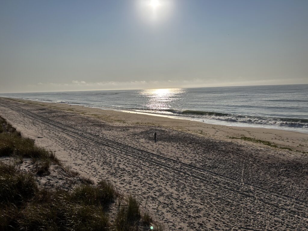 a sandy beach with the sun shining (MyCoast AI)