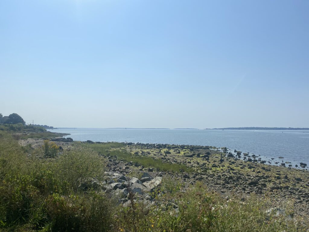 a rocky beach with trees and bushes (MyCoast AI)