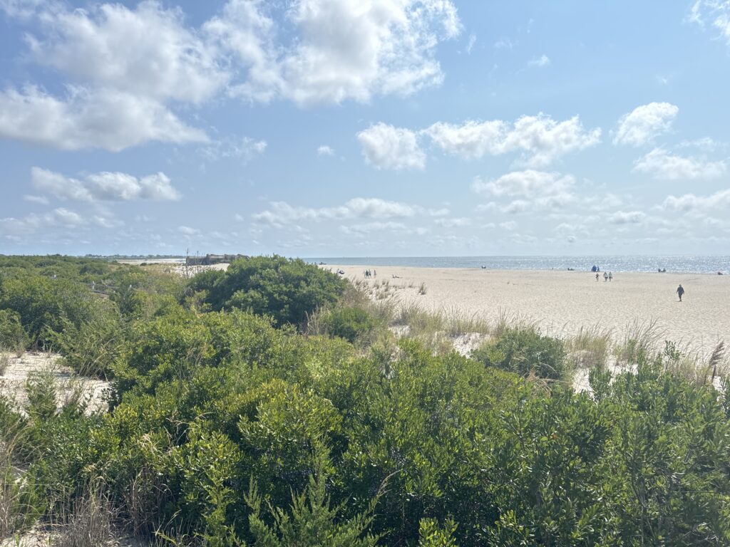 a landscape with trees and bushes (MyCoast AI)