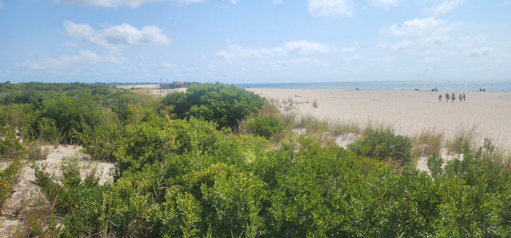 a group of people walking on a beach (MyCoast AI)