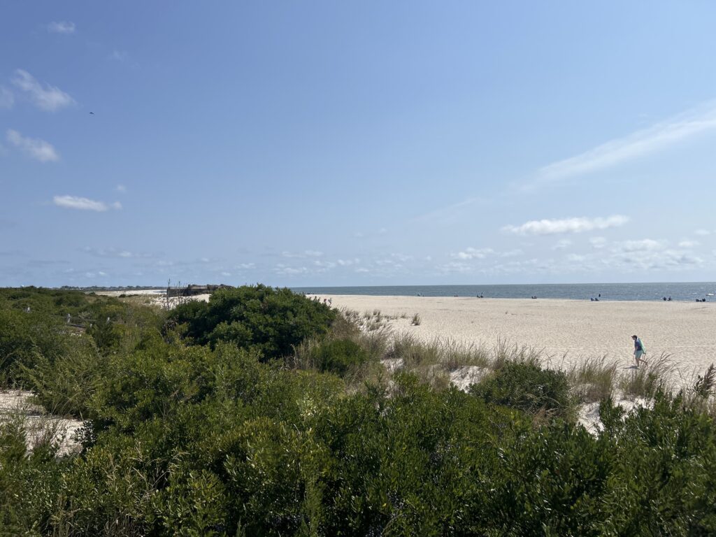 a person walking on a beach (MyCoast AI)