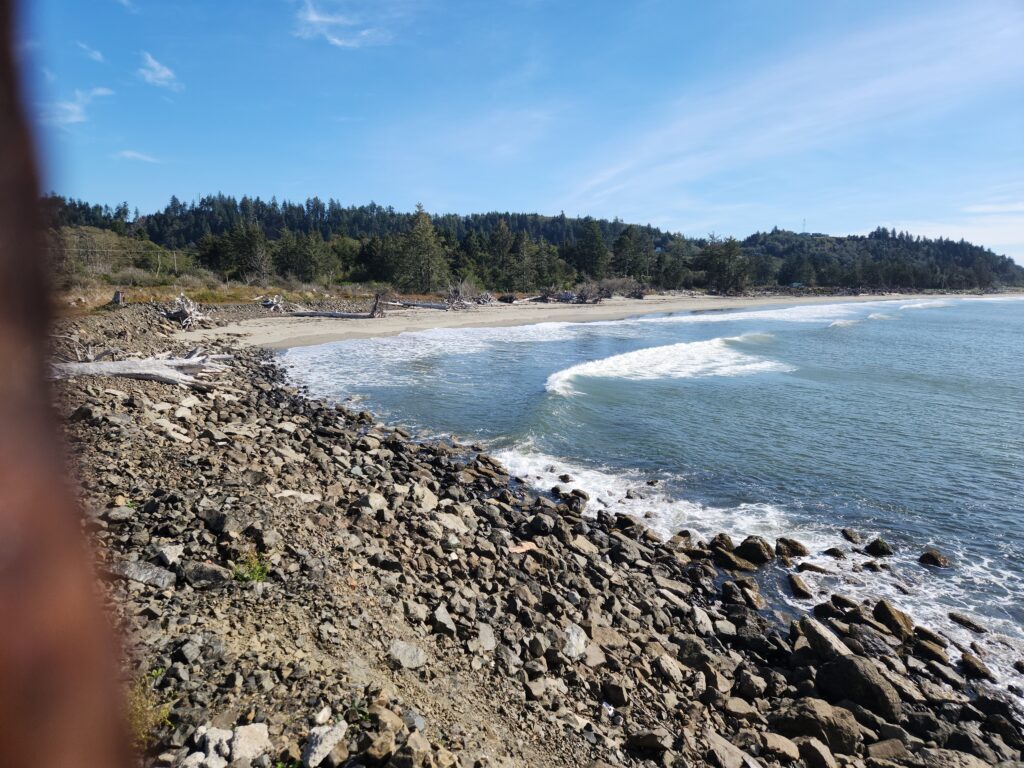a rocky beach with trees in the background (MyCoast AI)