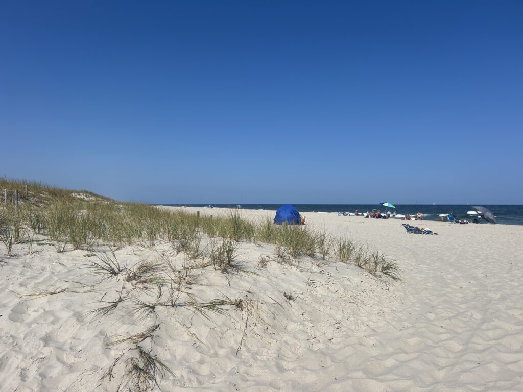 a sandy beach with bushes and a blue sky (MyCoast AI)