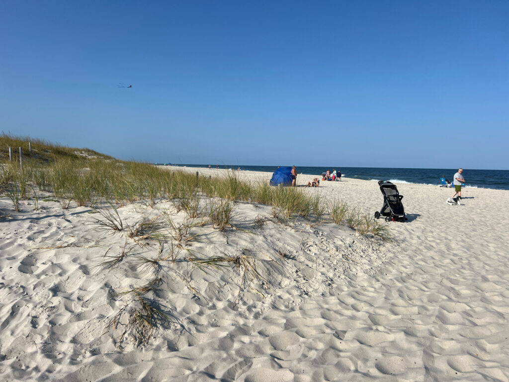 people walking on a beach (MyCoast AI)