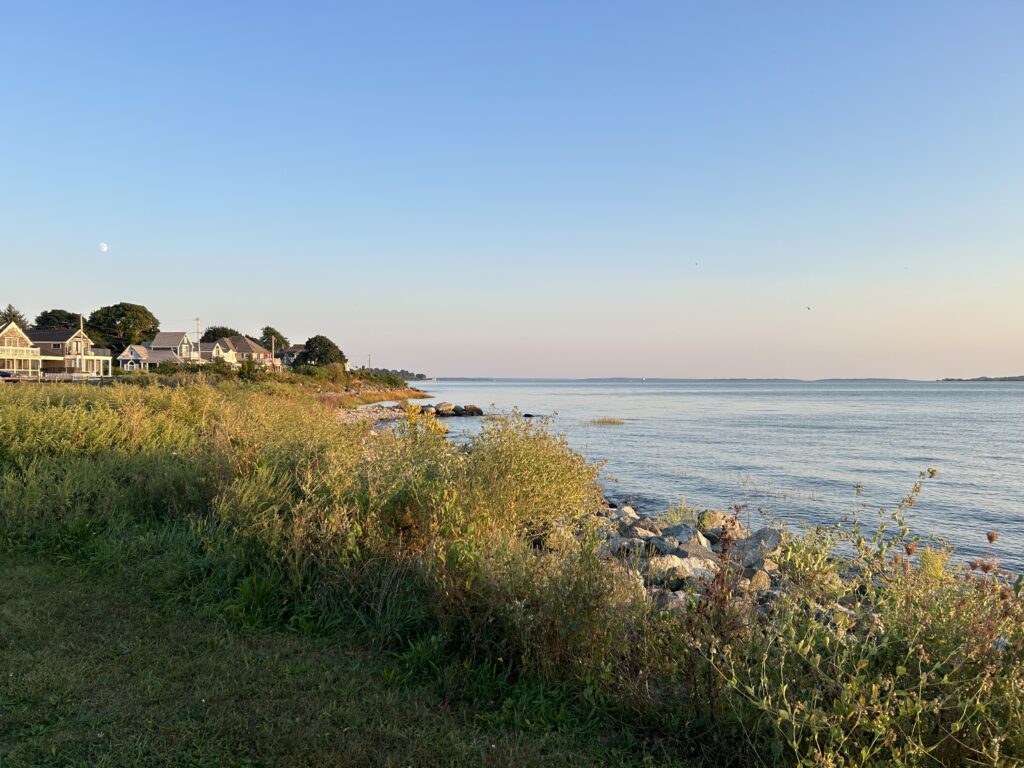 a grassy area next to a body of water (MyCoast AI)