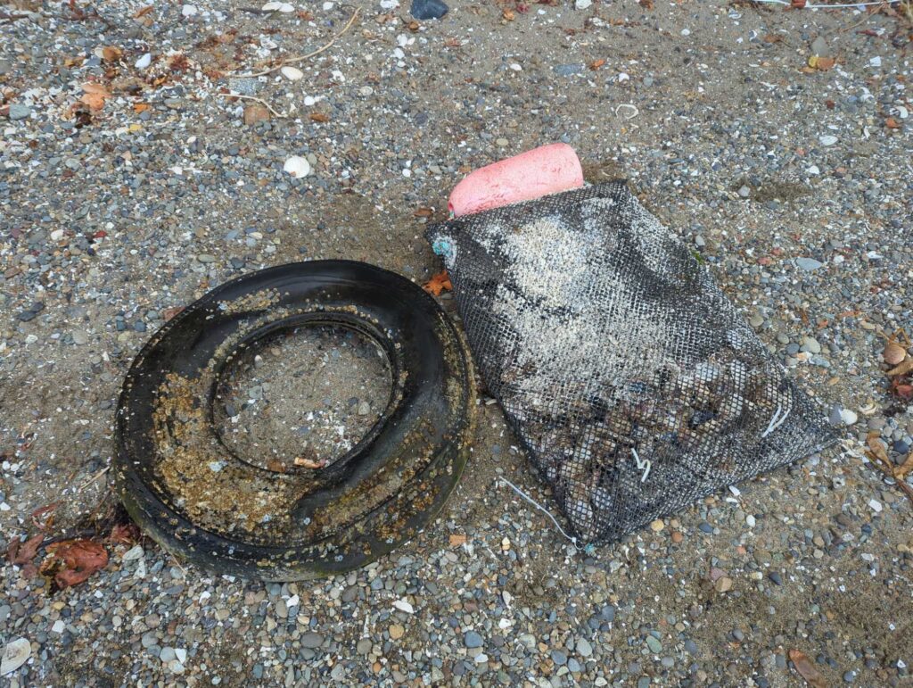 a black and brown snake on the ground (MyCoast AI)
