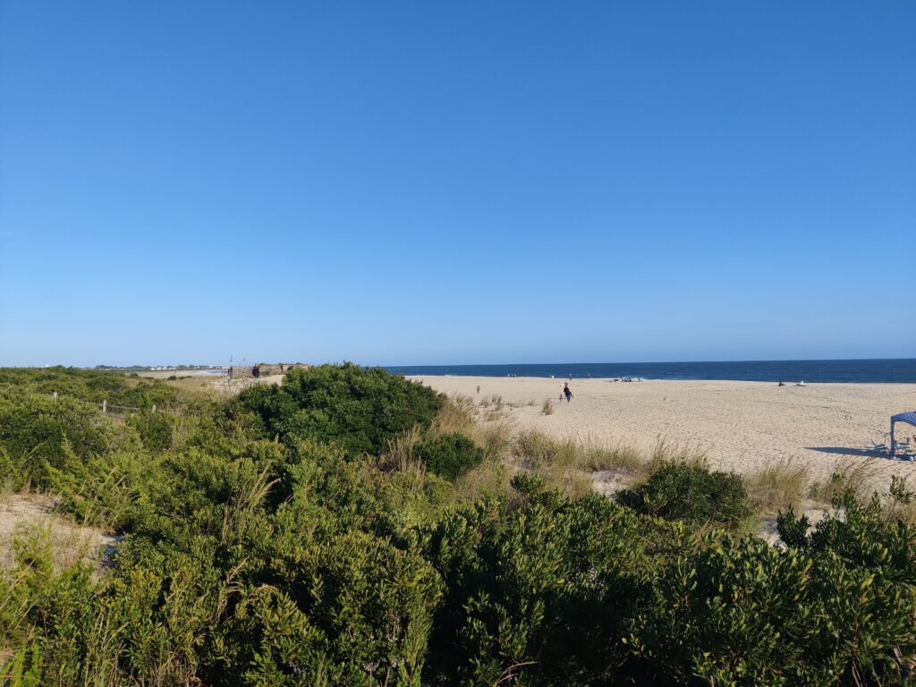 a sandy beach with bushes and trees (MyCoast AI)