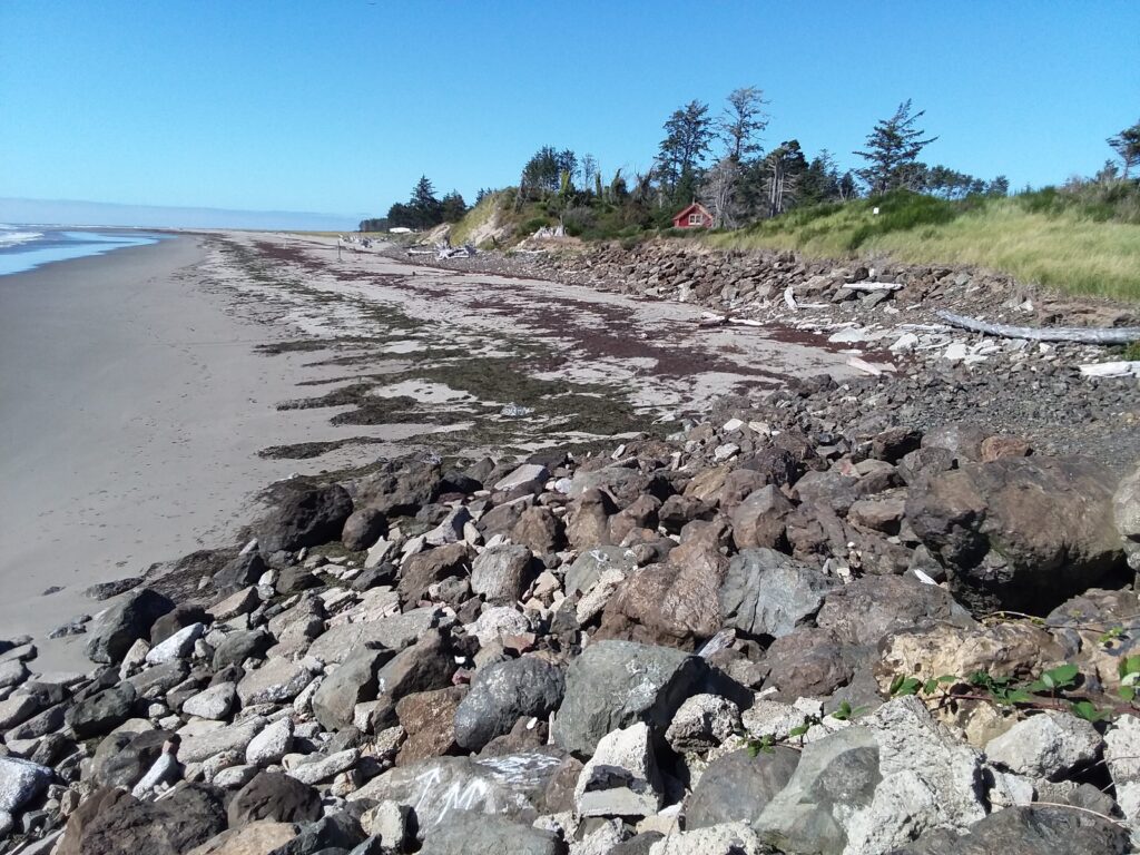a rocky beach with a hill and trees in the background (MyCoast AI)