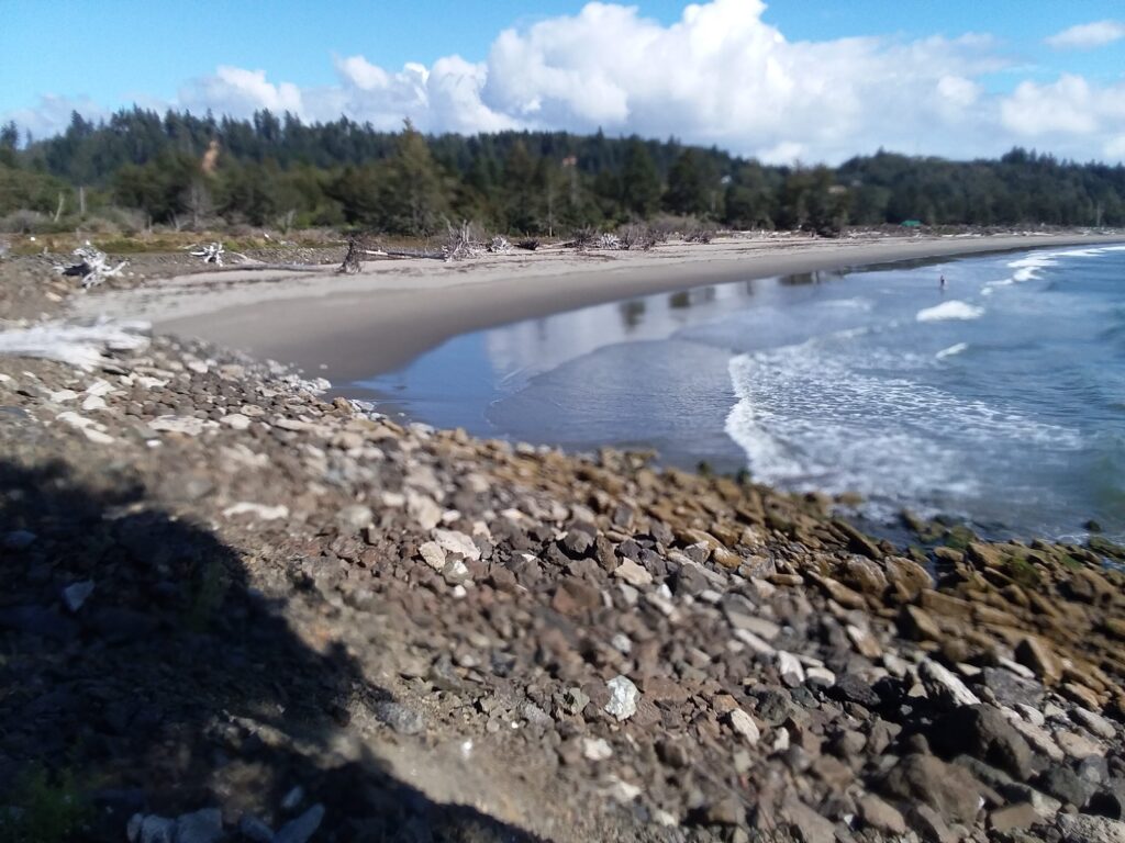 a rocky beach with trees in the background (MyCoast AI)