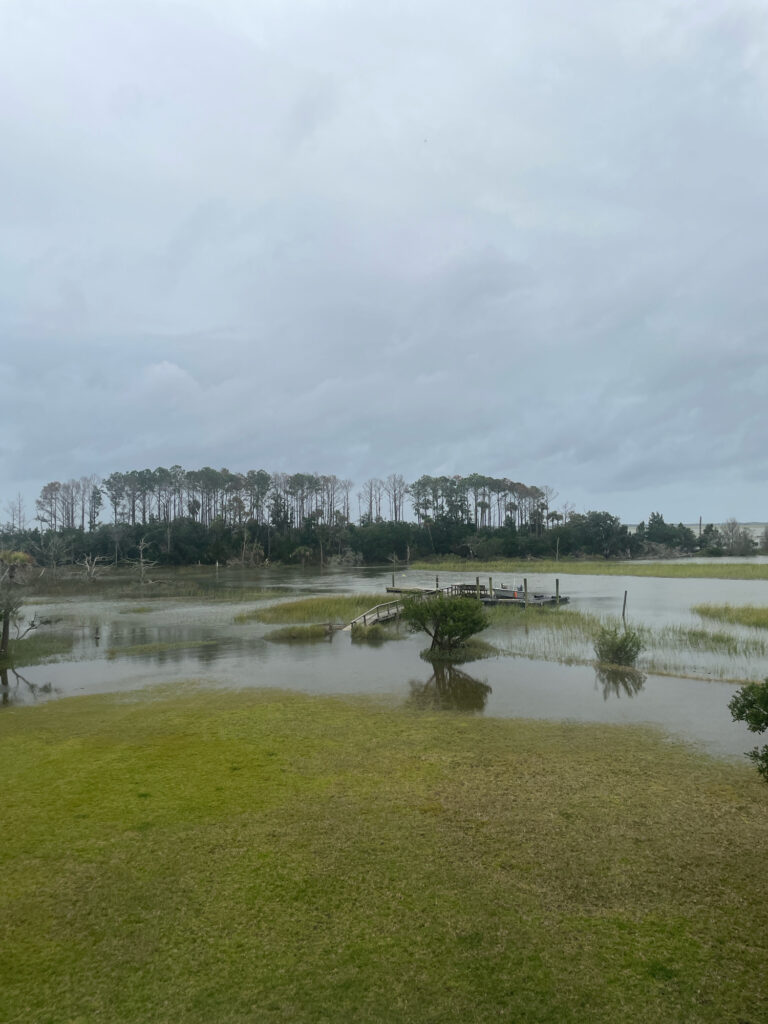 a body of water with grass and trees around it (MyCoast AI)