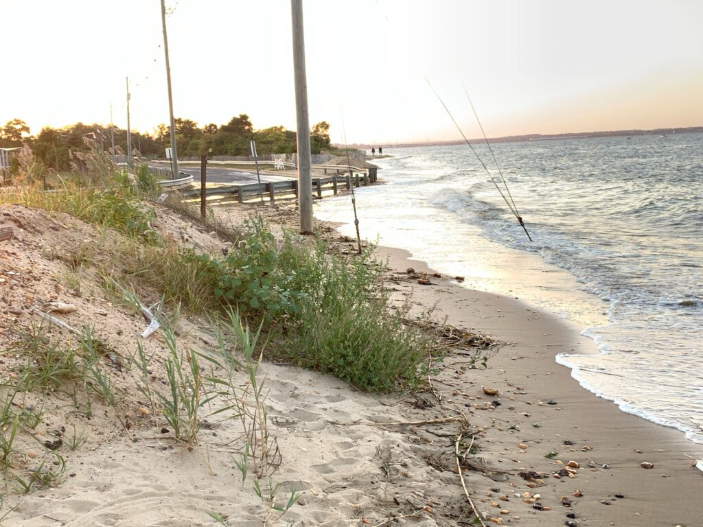 a beach with a pier and a body of water (MyCoast AI)