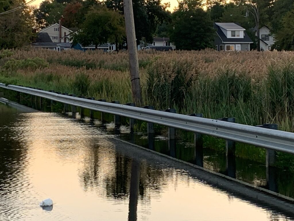 a body of water with grass and houses in the background (MyCoast AI)