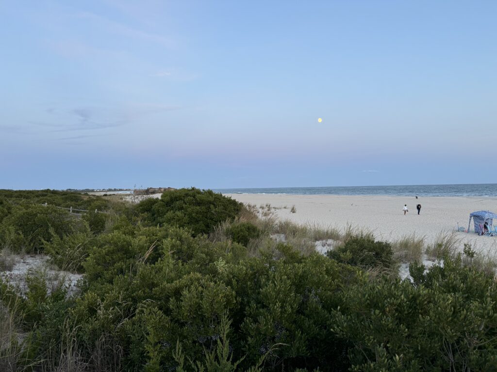 a beach with bushes and people (MyCoast AI)