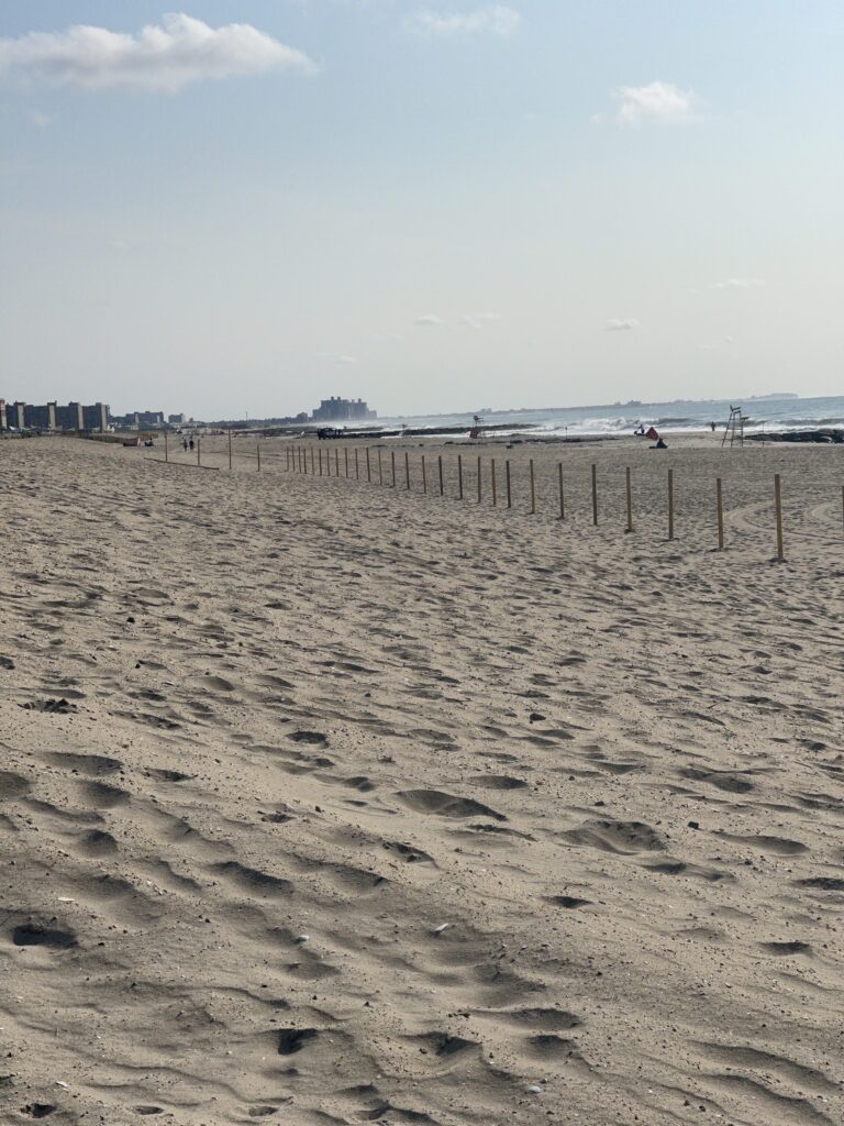 a sandy beach with a fence (MyCoast AI)