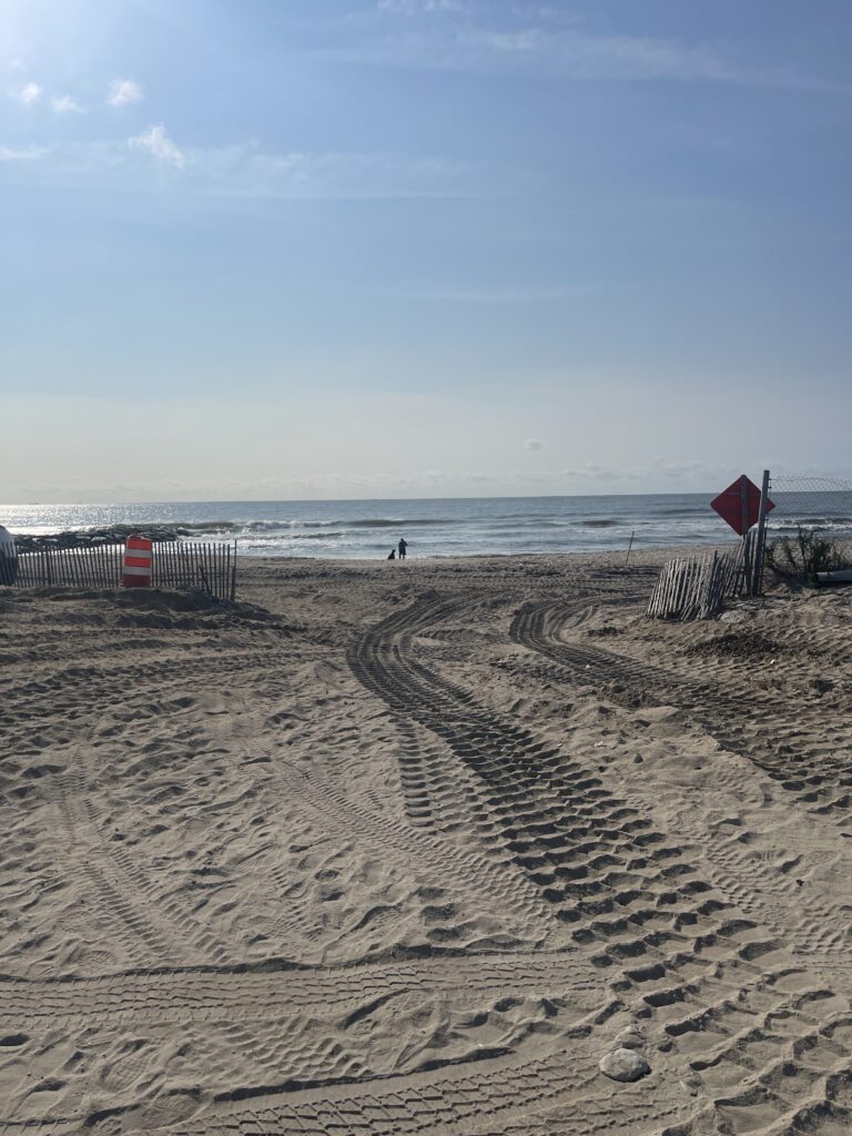 a beach with a flag (MyCoast AI)