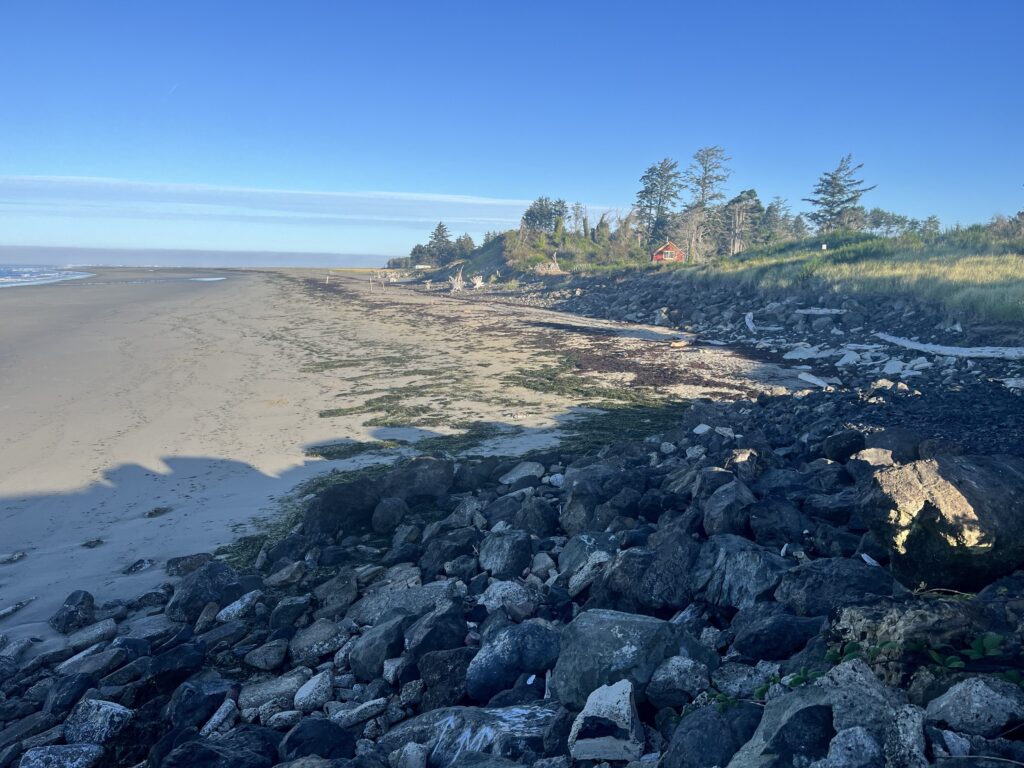 a rocky beach with trees in the background (MyCoast AI)