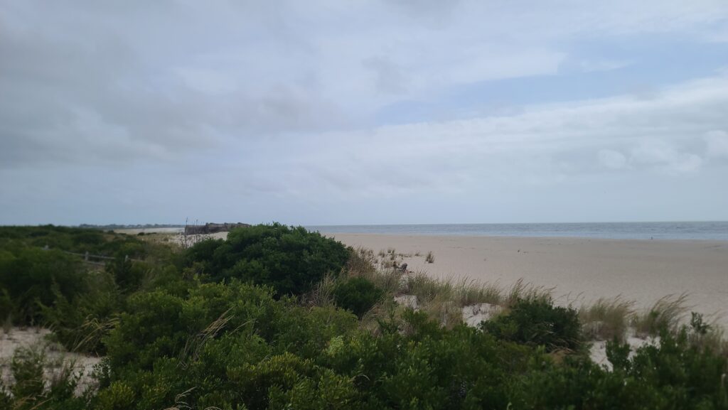 a beach with trees and bushes (MyCoast AI)