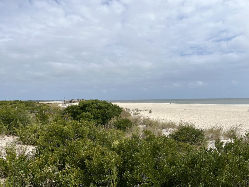 a beach with bushes and trees (MyCoast AI)