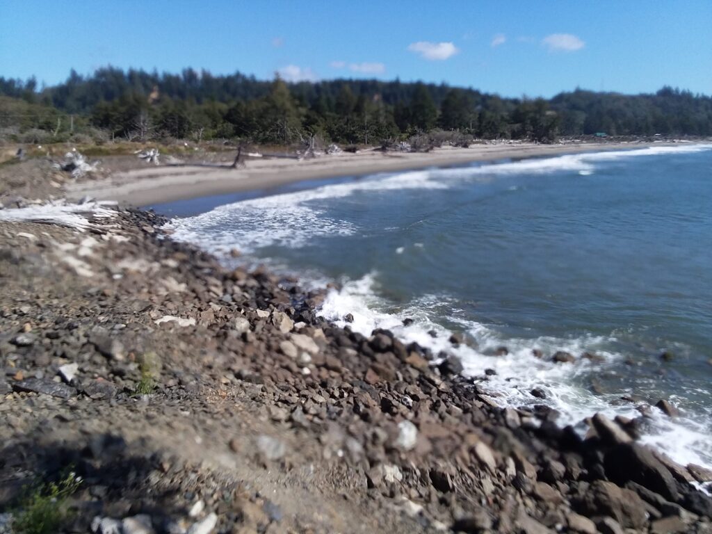 a rocky beach with trees in the background (MyCoast AI)