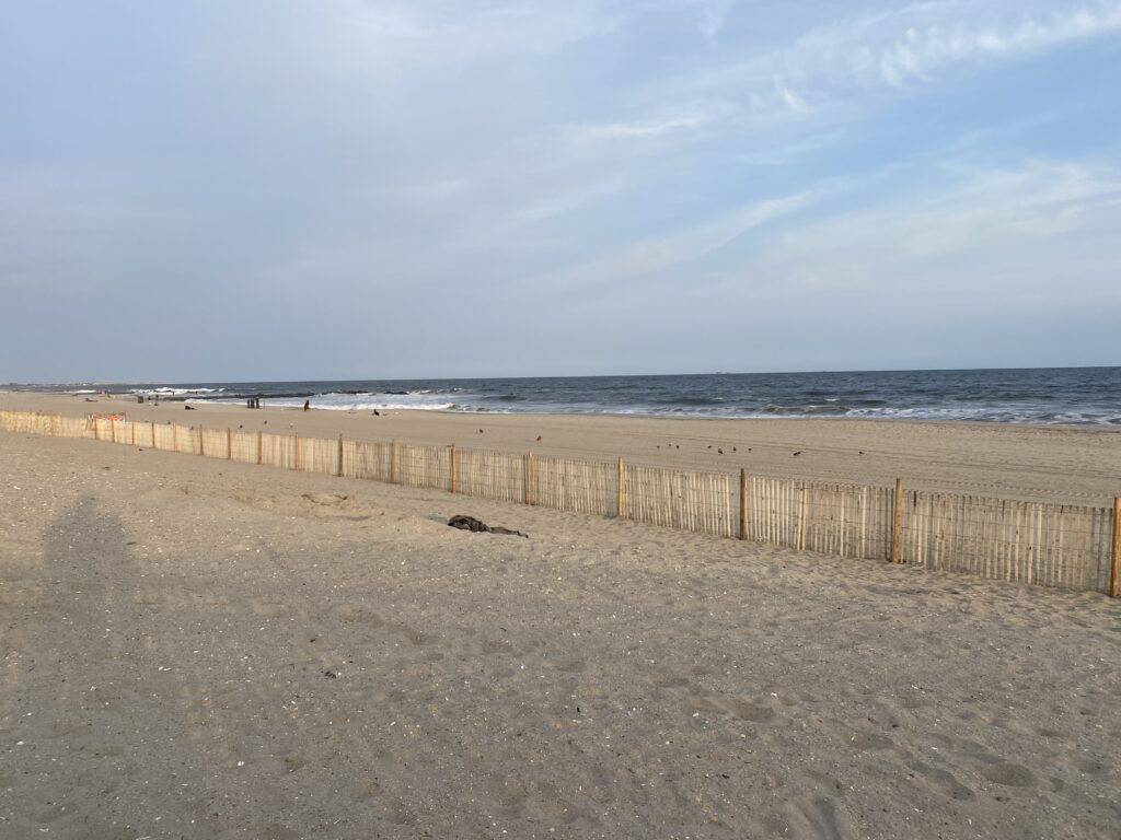 a sandy beach with a fence (MyCoast AI)
