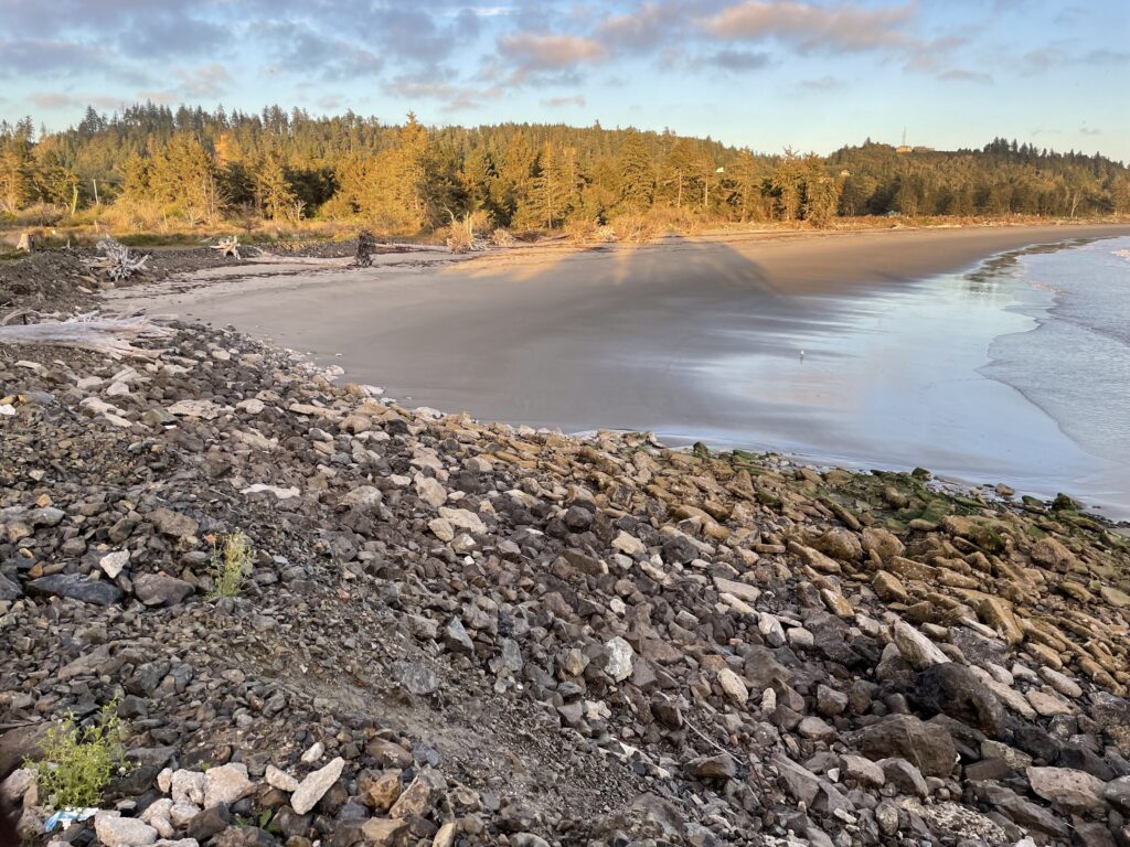 a rocky shore next to a body of water (MyCoast AI)
