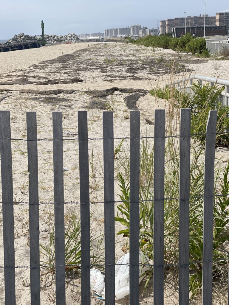 a fenced off area with plants growing in it (MyCoast AI)