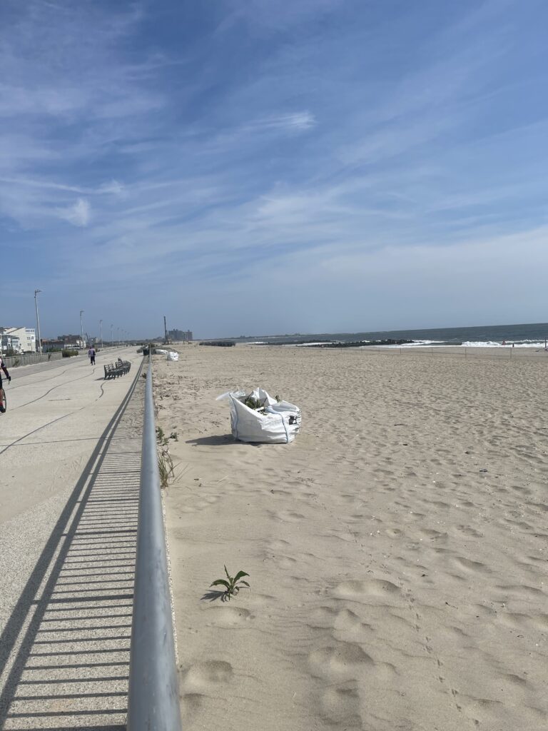 a boat on the beach (MyCoast AI)