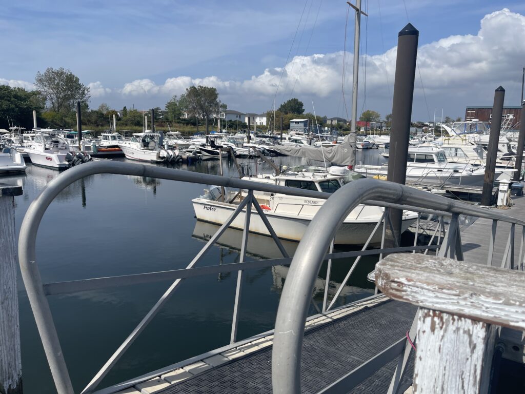 a marina full of boats (MyCoast AI)
