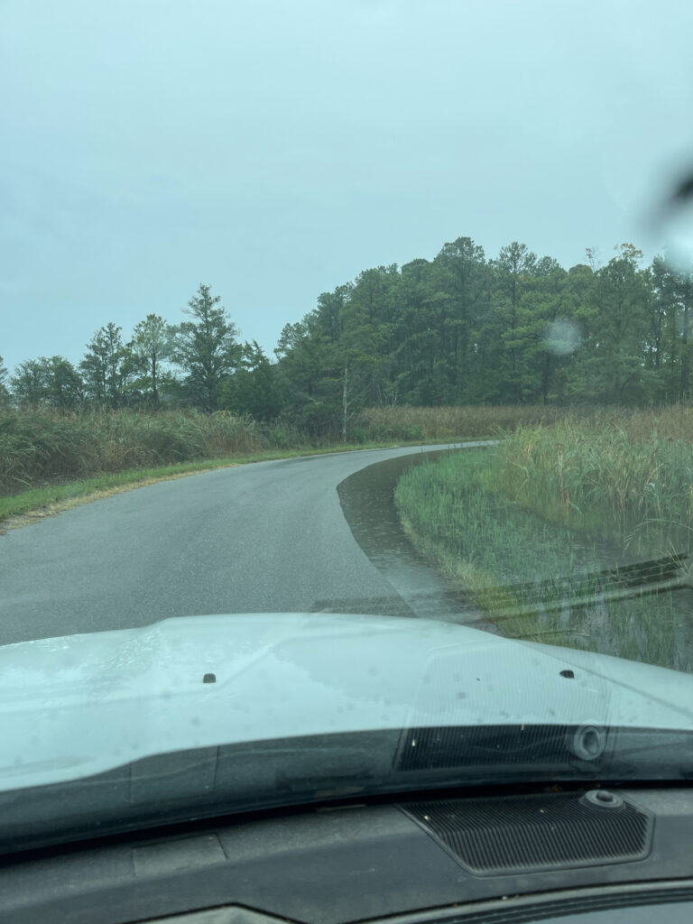 a road with trees on the side (MyCoast AI)