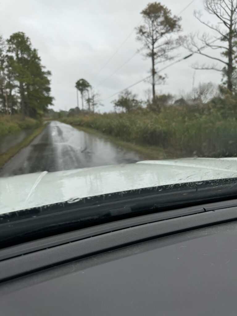 a road with trees on the side (MyCoast AI)
