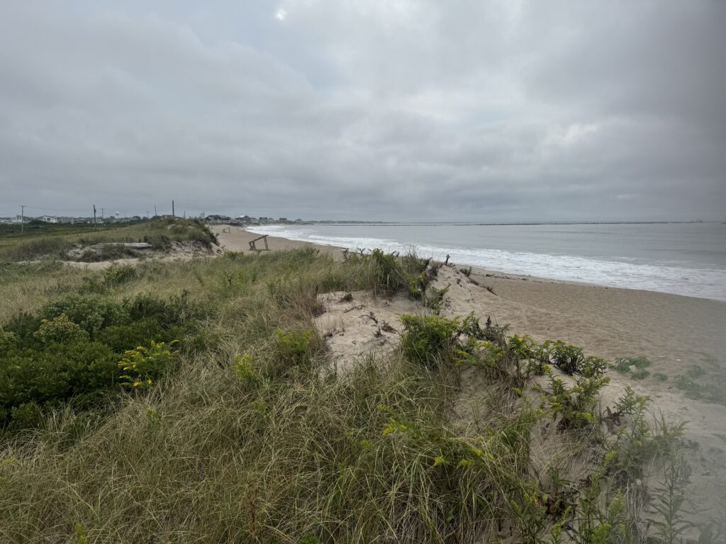 a beach with grass and sand (MyCoast AI)