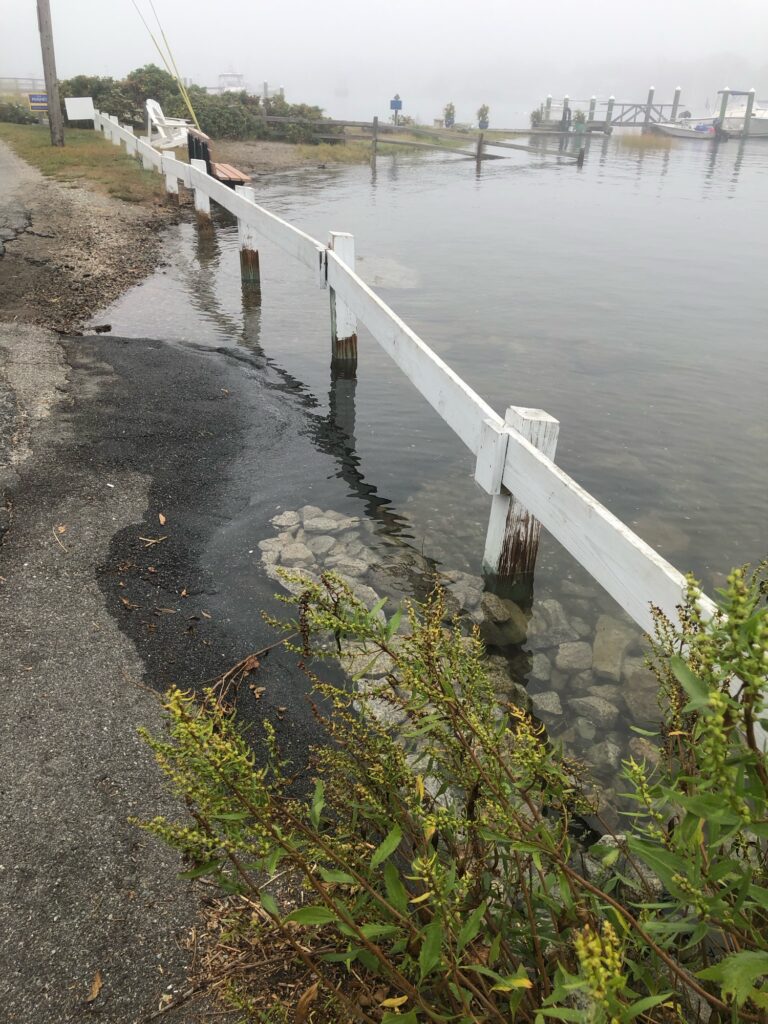 a bridge over a body of water (MyCoast AI)