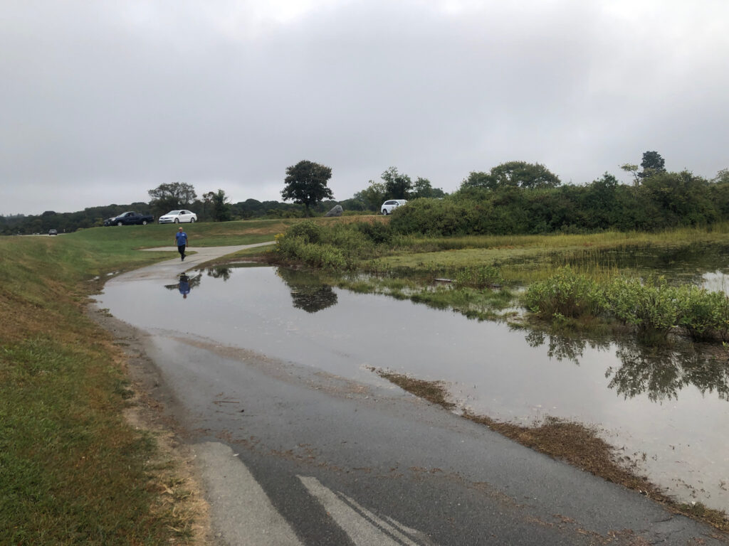 a person walking on a wet road (MyCoast AI)