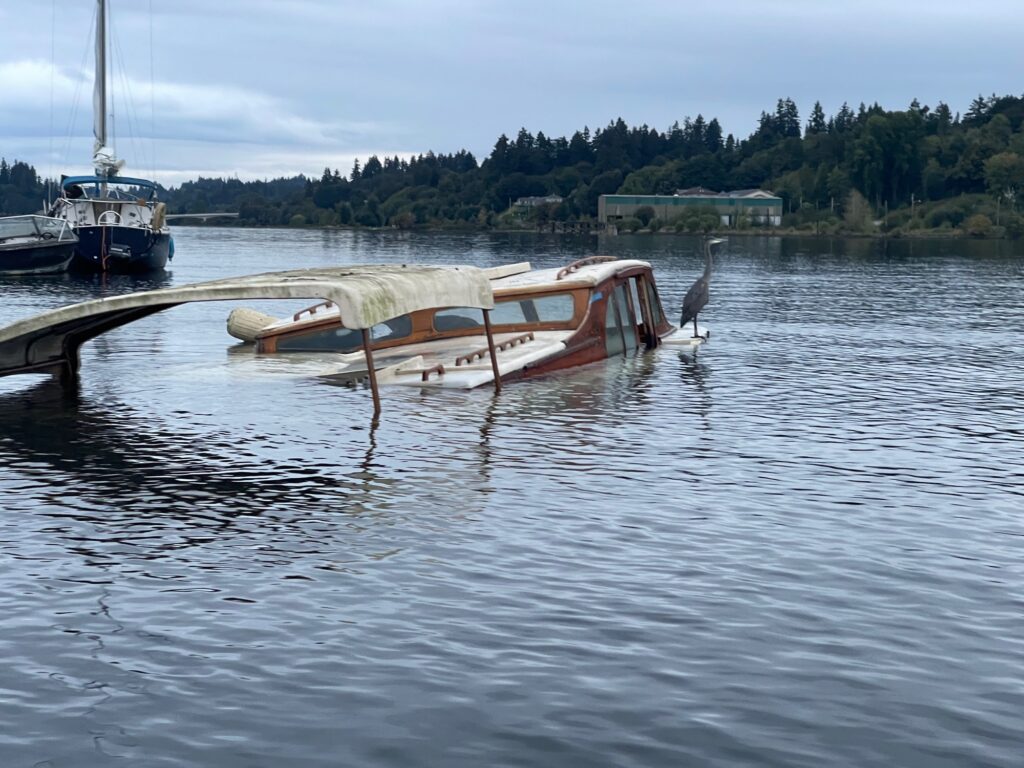 a boat tied to a dock (MyCoast AI)