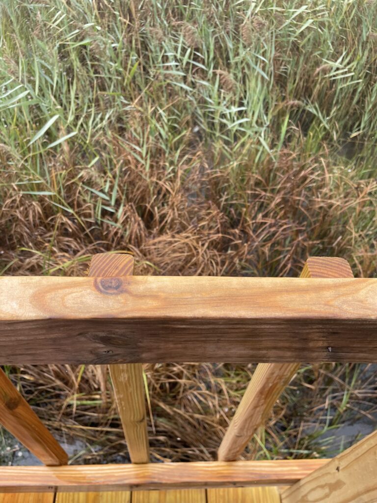 a wooden bench in a field (MyCoast AI)