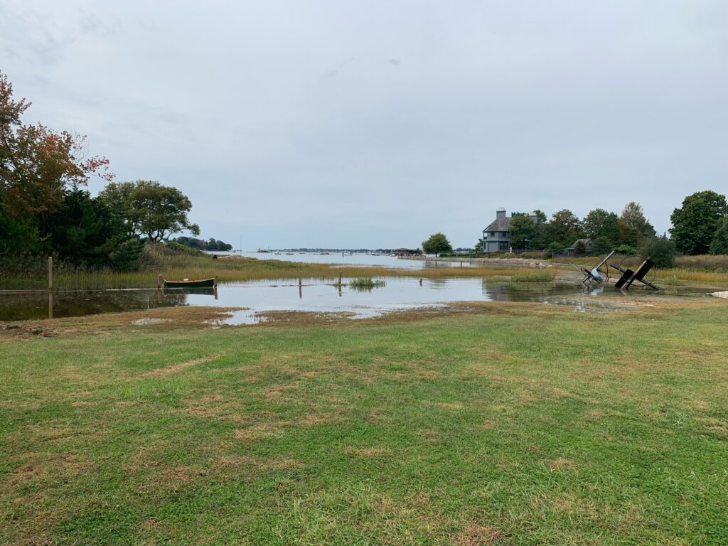 a pond with grass and trees around it (MyCoast AI)