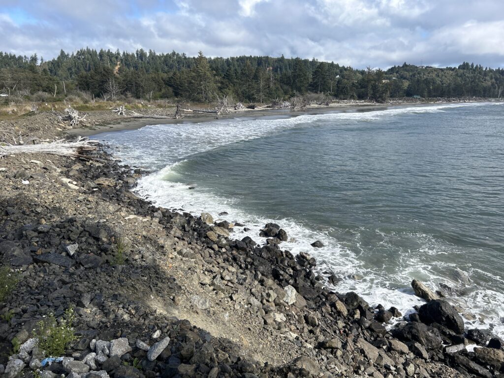 a rocky shore with trees in the background (MyCoast AI)