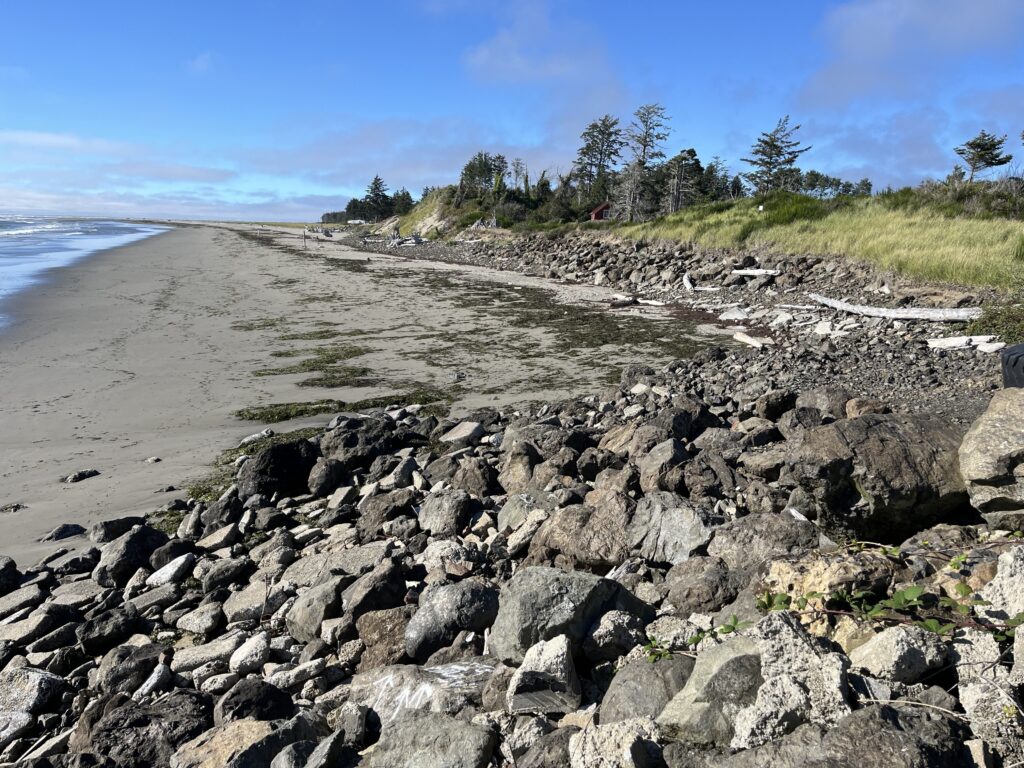 a rocky beach with trees and grass (MyCoast AI)