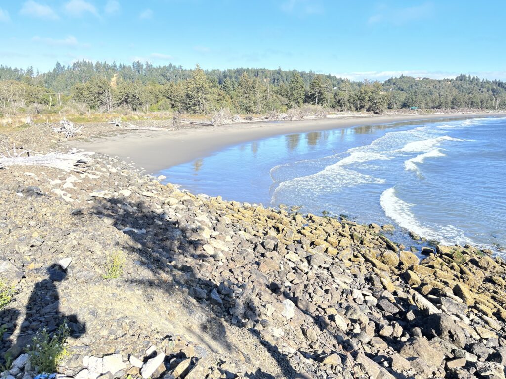 a rocky beach with trees in the background (MyCoast AI)