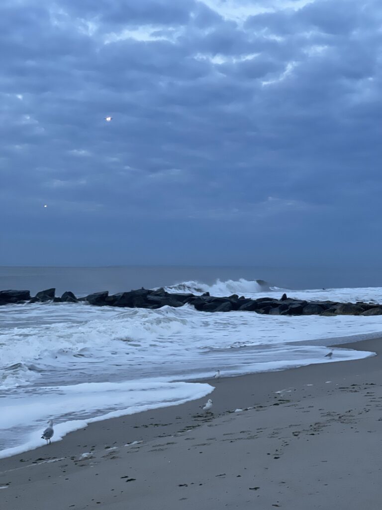 a beach with rocks and water (MyCoast AI)