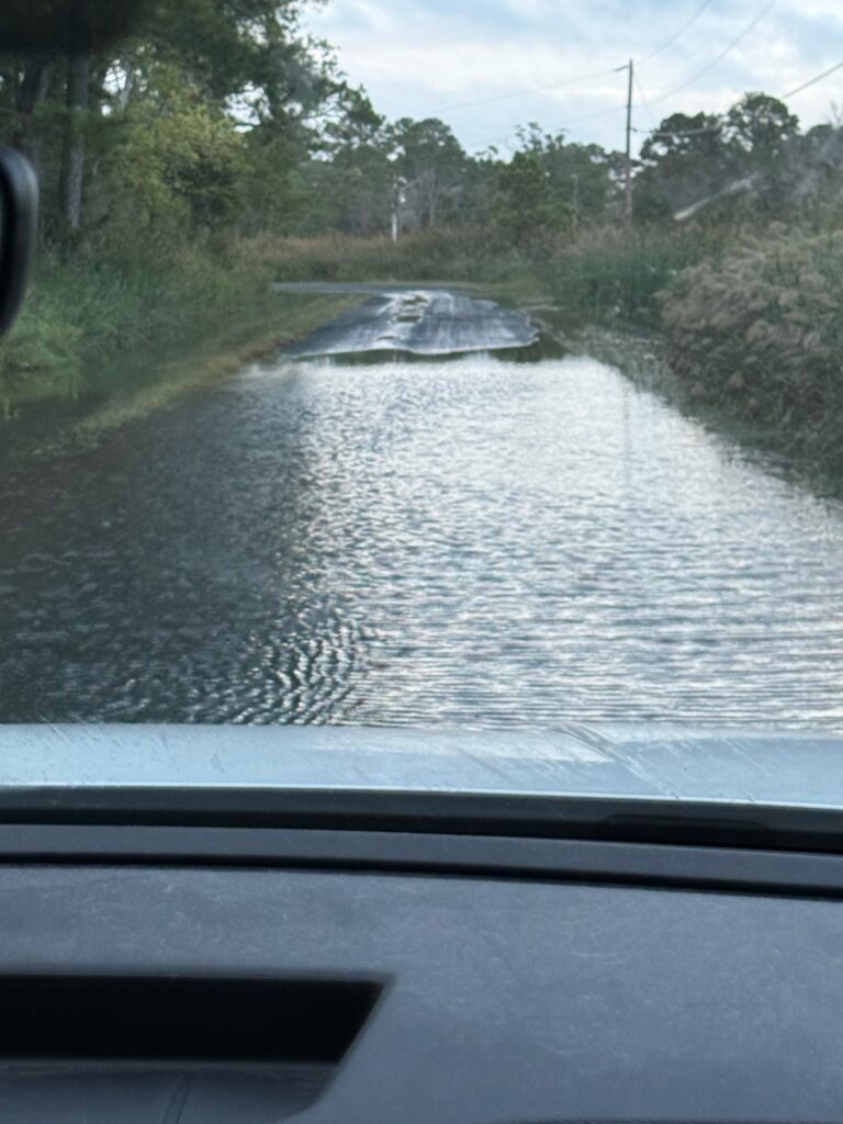 a flooded road with trees on either side of it (MyCoast AI)
