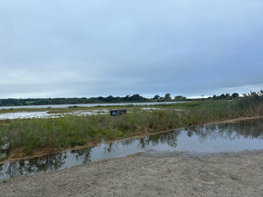 a swampy area with a vehicle in it (MyCoast AI)