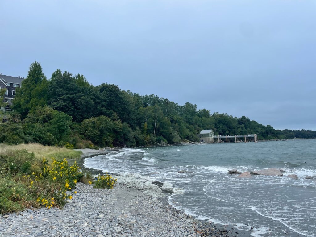 a river with a bridge and trees (MyCoast AI)