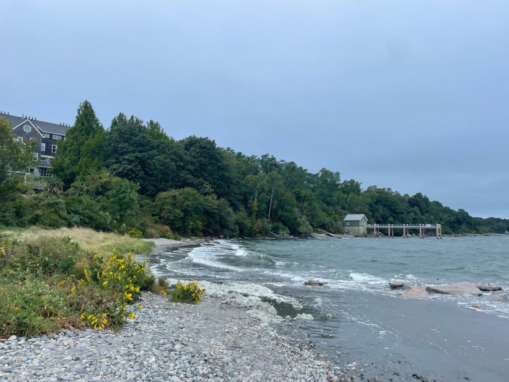 a beach with trees and a building (MyCoast AI)