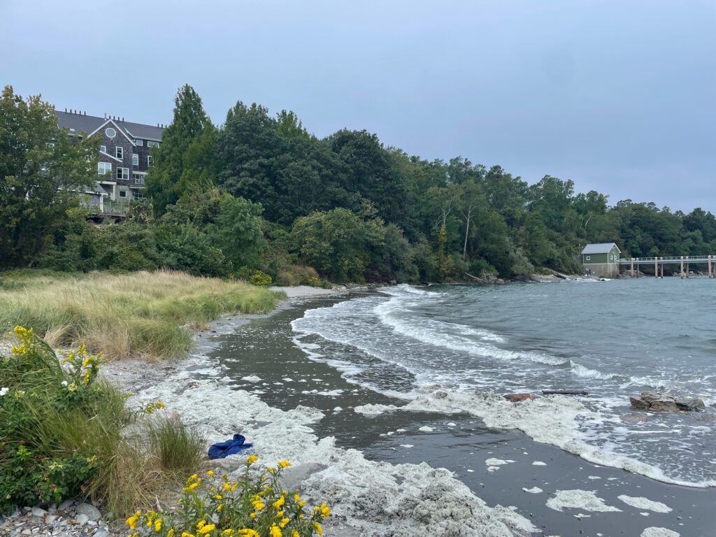 a river with a house in the background (MyCoast AI)