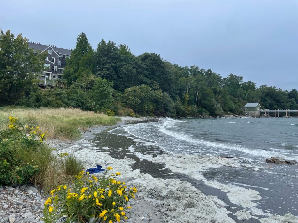a river with a house in the background (MyCoast AI)