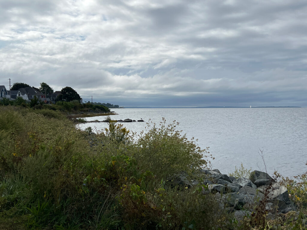 a rocky beach with a body of water in the background (MyCoast AI)