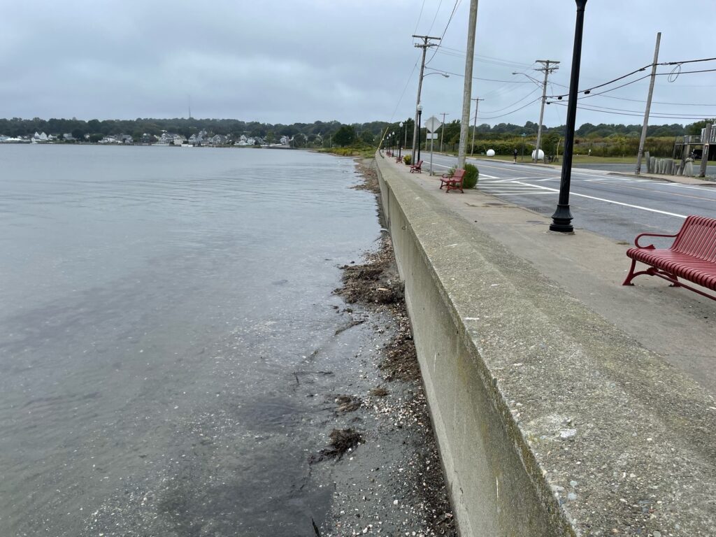 a road next to a body of water (MyCoast AI)
