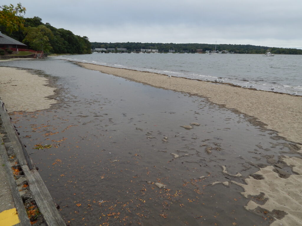 a beach with a body of water (MyCoast AI)