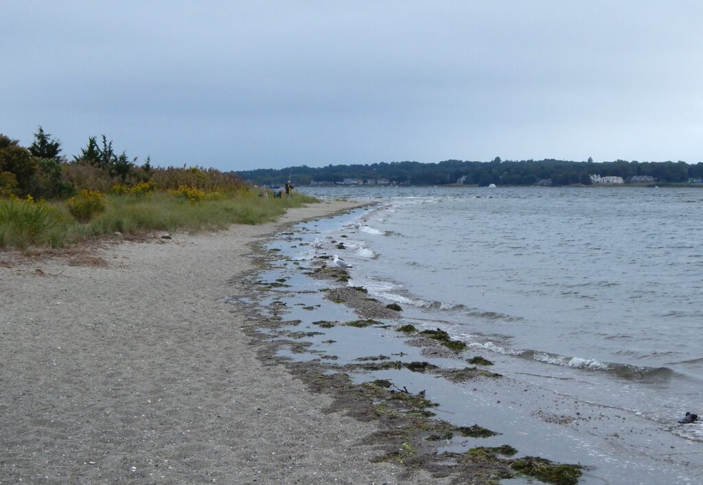 a beach with a body of water (MyCoast AI)